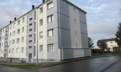 LES GRILLONS LES LUCIOLES