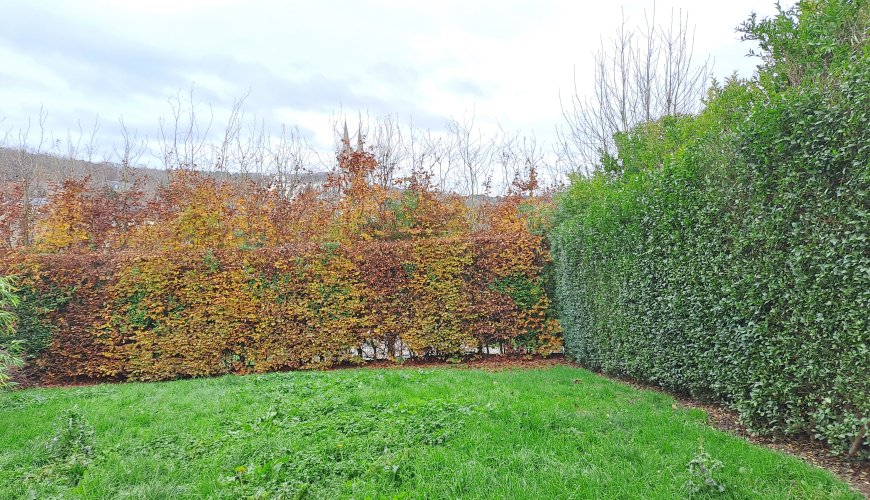 Maison à LA CHAPELLE-MONTLIGEON