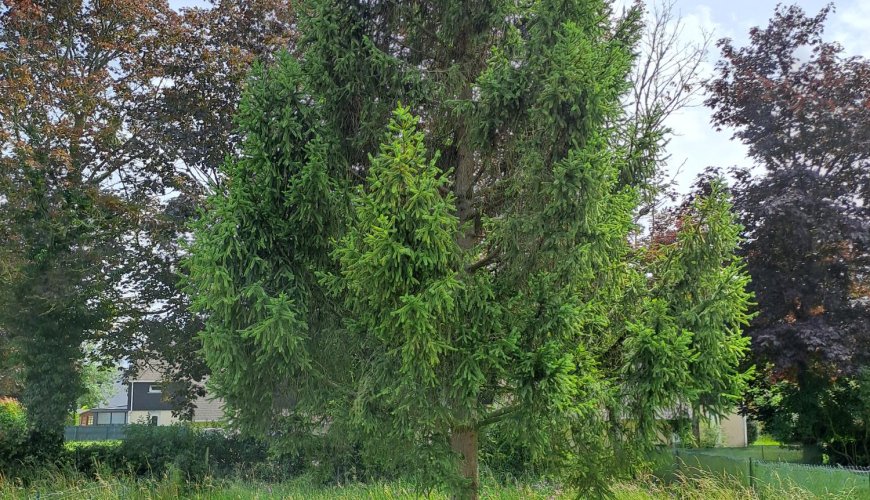A vendre à argentan