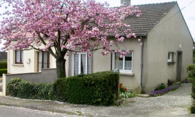 TERRAIN BOUVET DOMFRONT